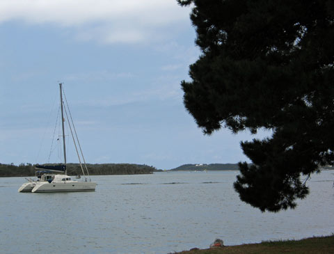 Te Moana at Greenwell Point.jpg