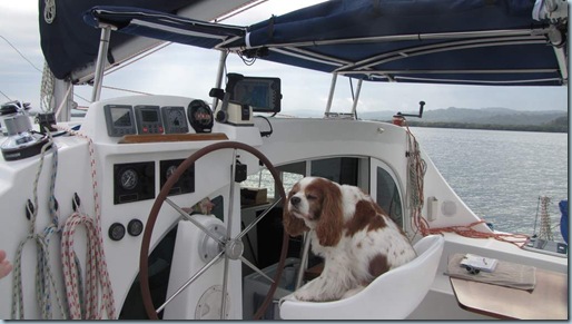 JakeSteering